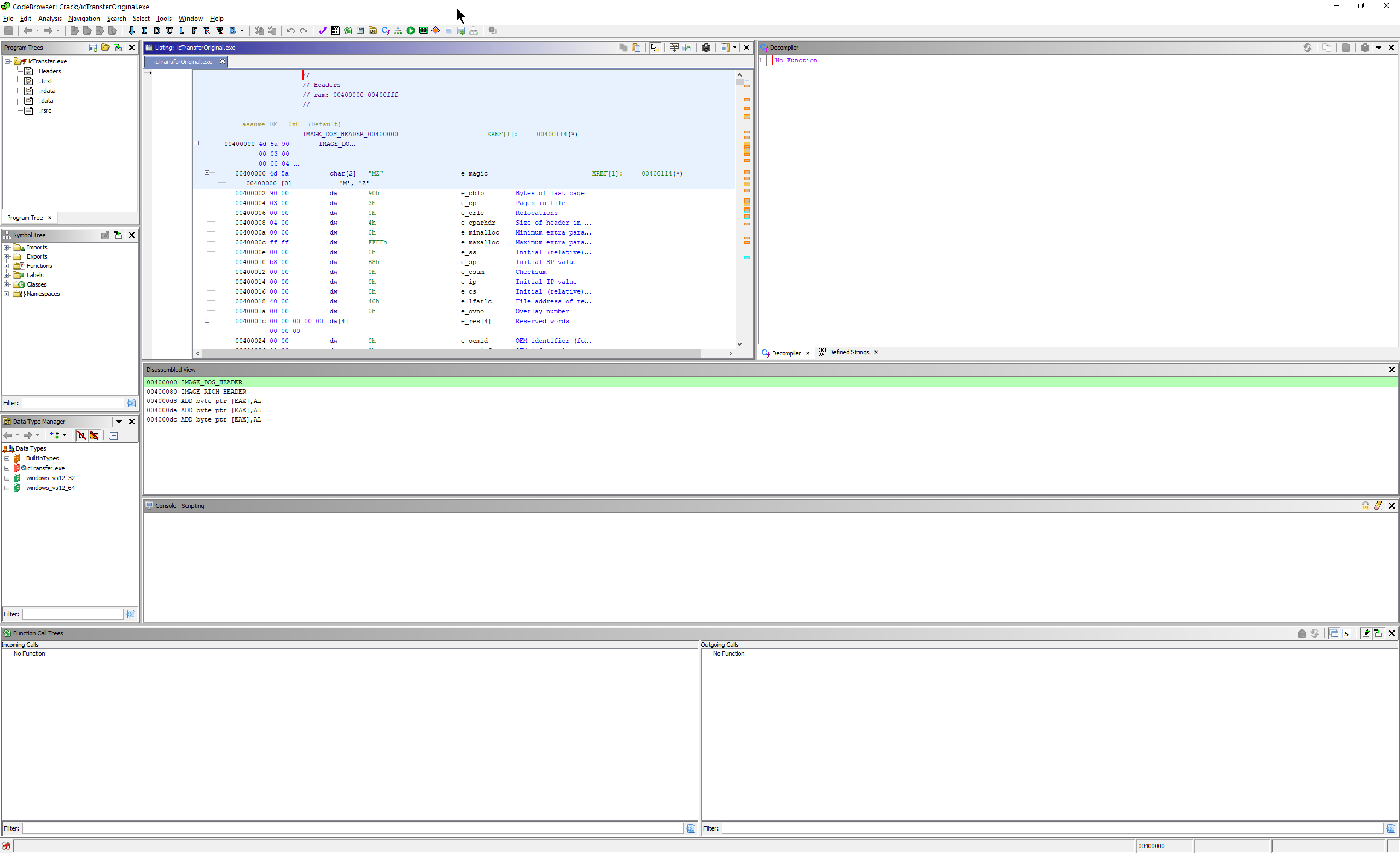 The Ghidra environment